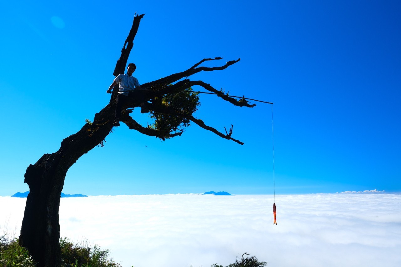 Săn mây ở cành cây khô hình đầu voi trên đường lên núi Lảo Thẩn