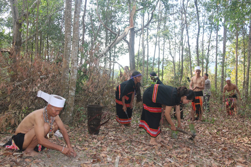 Lễ hội "ăn than" là nét văn hóa độc đáo của người Giẻ Triêng